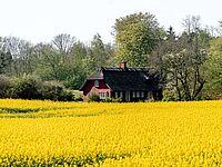 Herregårdsferie på Sydfyn