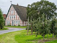 Ferie Alene • Bremen