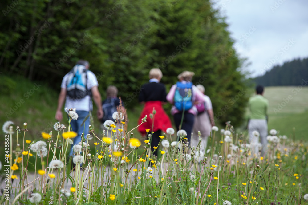 2. AdobeStock_42435582_Preview