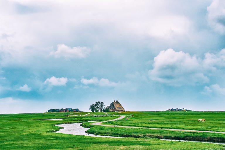 Hallig Hooge on the North Sea, Germany