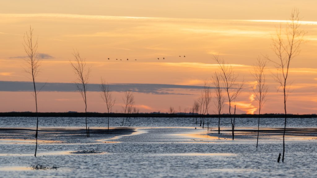 Footpath to Island Mandø under Water, Denmark