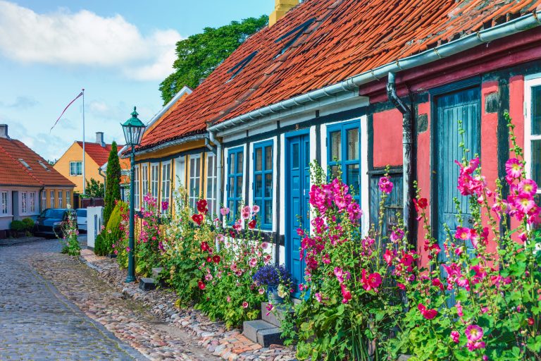 Town streets growed by colorful hollyhock flowers on Bornholm island Denmark.