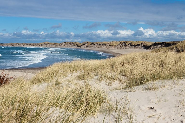 Beach North of Nørre Vorupør showing parts of Thy National Park, Denmark