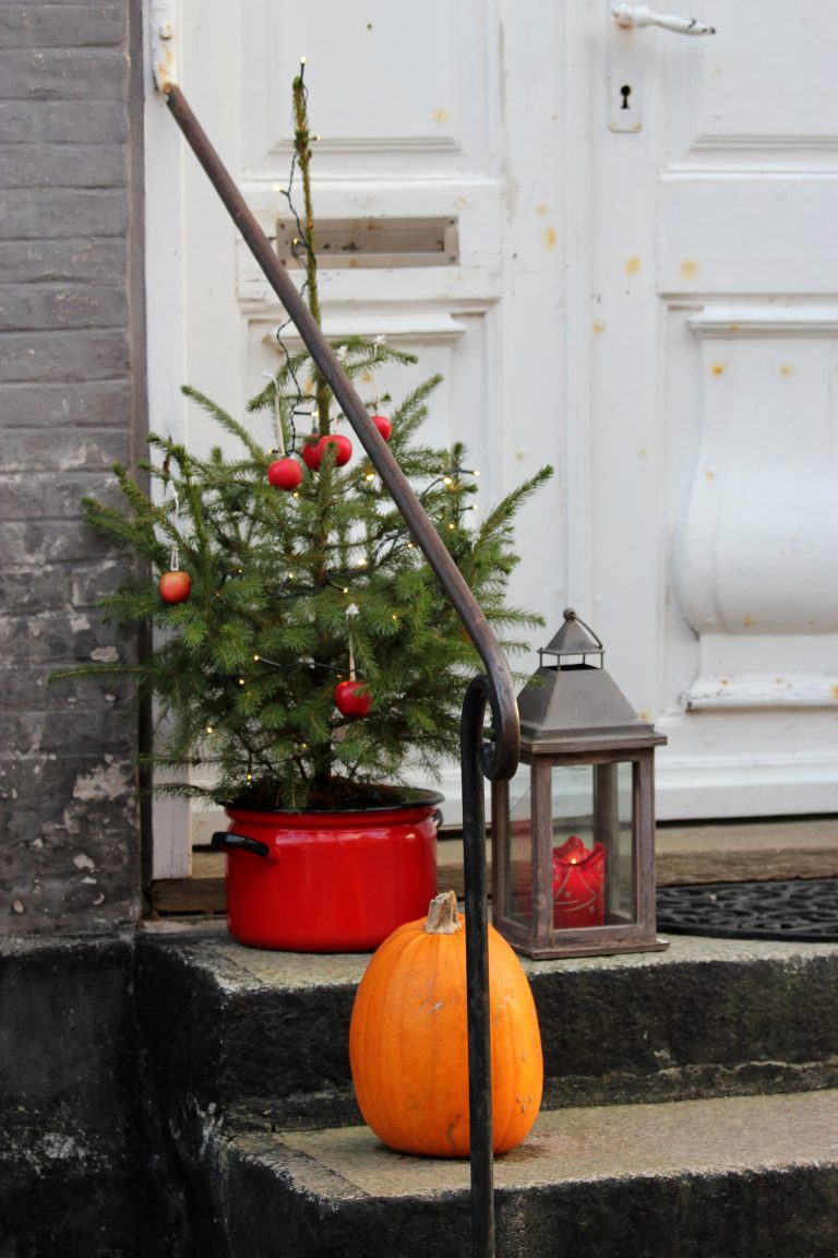 Jul på Ærø - Foto Bjørg Kiær (27)