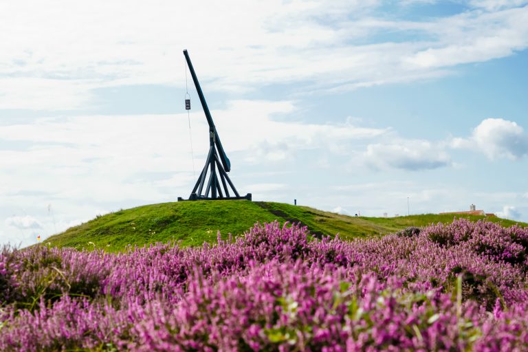 SKAGEN _Vippefyret_ Peter Joergensen