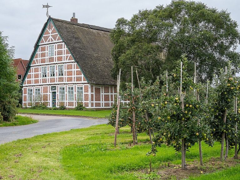 csm_Altländer_Bauernhaus_bei_Jork__2021__7e5e42c6b3