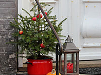 csm_Jul_på_Ærø_-_Foto_Bjørg_Kiær__27__065470f61e