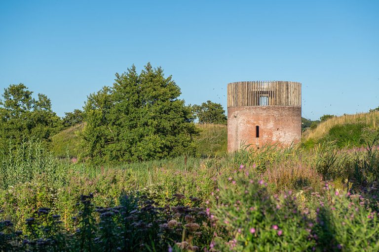 csm_VIBORG-003_3524605742